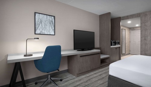 Room, 1 King Bed, Accessible (Roll-In Shower)