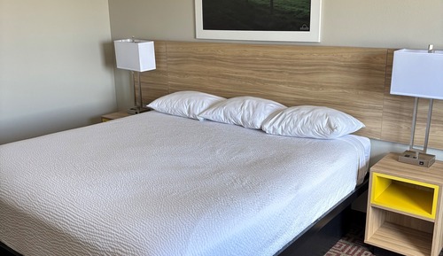 Room, 1 King Bed, Non Smoking