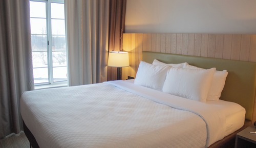 Room, 1 King Bed, Non Smoking