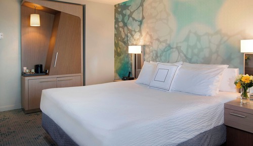 Room, 1 King Bed with Sofa bed (Mobility/Hearing Access, Roll-in Shwr)