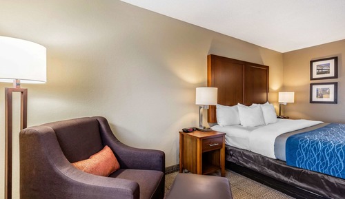 Standard Room, 1 King Bed, Non Smoking