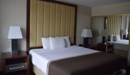 Premium Suite, 1 King Bed (No Pets Allowed)