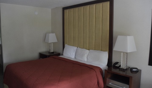 Standard Room, 1 King Bed (No Pets Allowed)