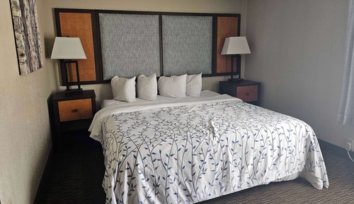 Room, 1 King Bed, Non Smoking, Courtyard View