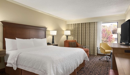 Standard Room, 1 King Bed