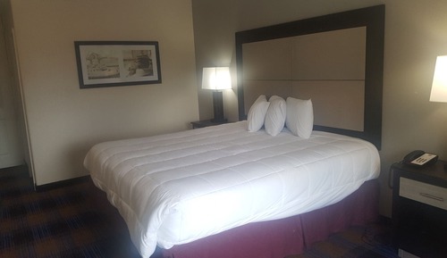 Room, 1 King Bed