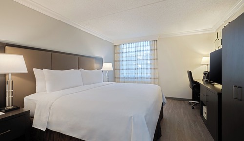Standard Room, 1 King Bed, Accessible (Communications, Roll-In Shower)