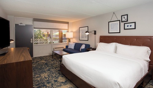 Room, 1 King Bed with Sofa bed, Non Smoking, Pool View (Poolside)
