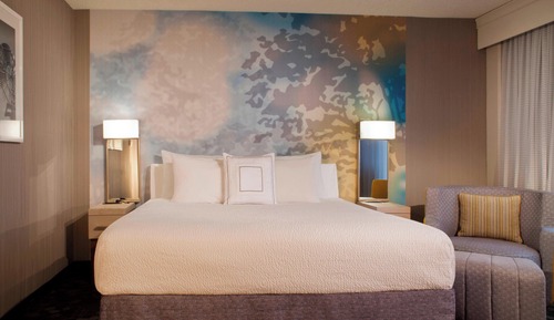 Suite, 1 King Bed with Sofa bed