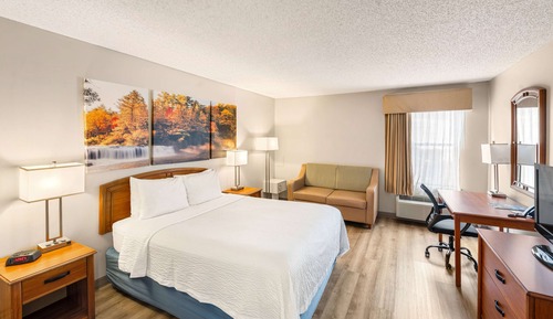Business Room, 1 Queen Bed
