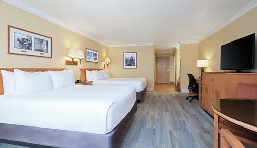 Premium Room, 2 Queen Beds