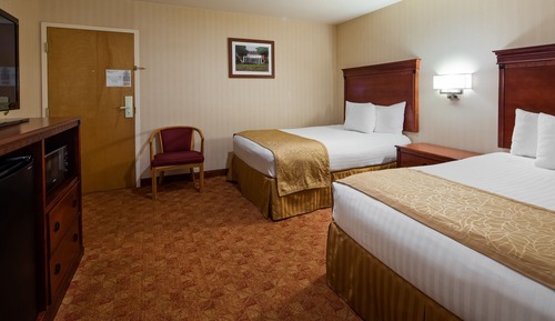 Basic Double Room