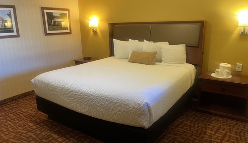 Basic Single Room