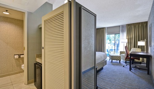 Room, 1 King Bed, Patio