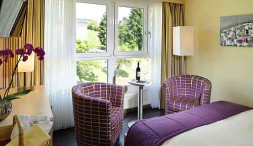 Standard Double Room, Balcony, Lake View