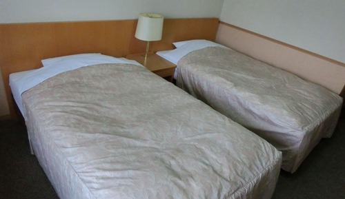 Twin Room, Non Smoking, Mt.Fuji View