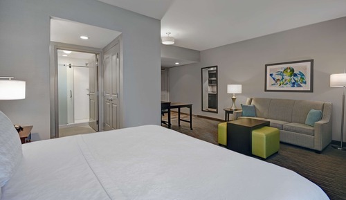 Suite, 1 King Bed, Accessible (Roll-in Shower)