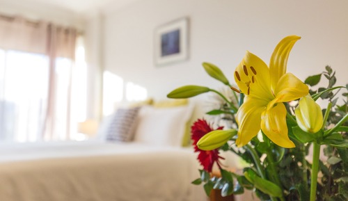 Standard Room, 1 King Bed, Balcony, Hill View