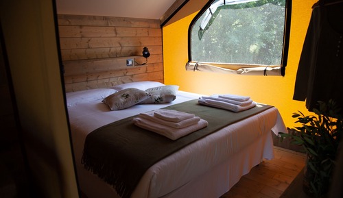 Standard Tent