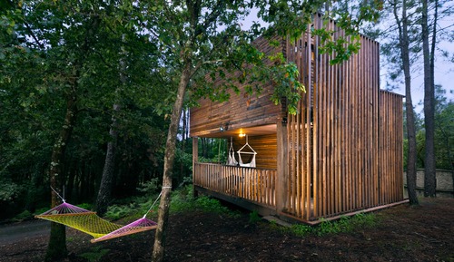 Apartment, 1 Bedroom (Refugio en el Bosque)