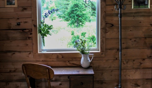 Alaska Cabin
