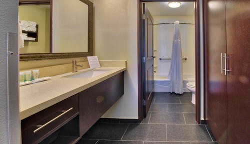 Suite, 1 Bedroom, Accessible, Kitchen (Mobility, Bathtub)