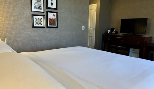 Room, 1 King Bed, Non Smoking (Mobility/Hearing Access, Roll-in Shwr)