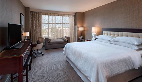 Room, 1 King Bed