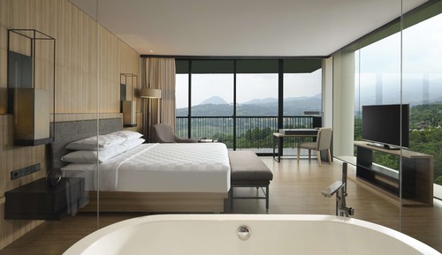 Studio, 1 King Bed