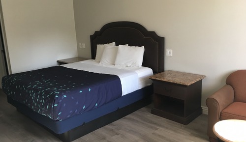 Room, 1 King Bed