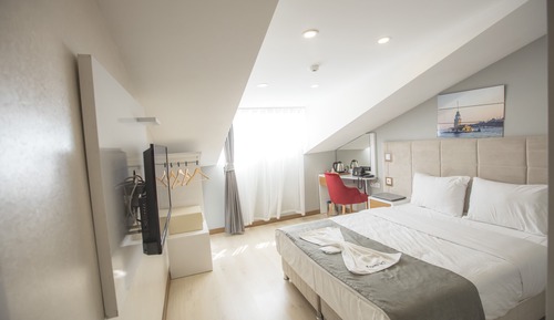 Deluxe Double or Twin Room