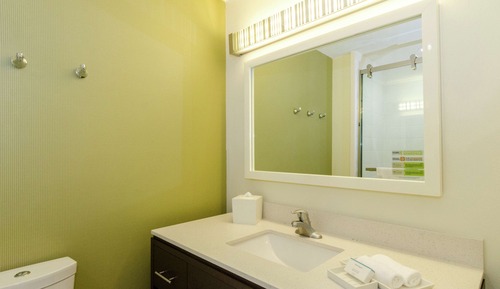 Suite, 1 King Bed (Roll In Shower)
