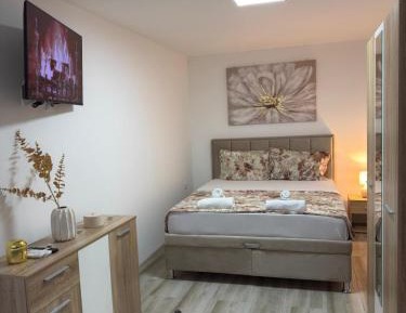 Superior One-Bedroom Apartment