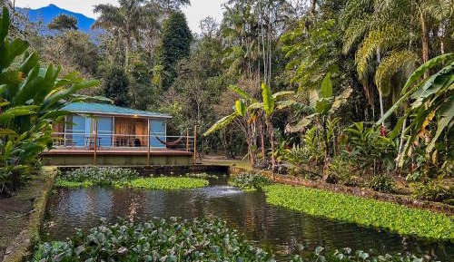 Double Room with Lake View