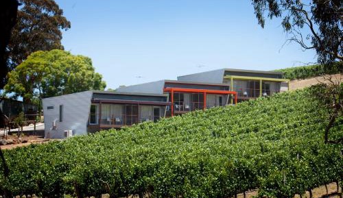 Vineyard Suite