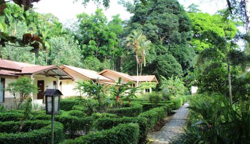 Superior Double or Twin Room with Garden View