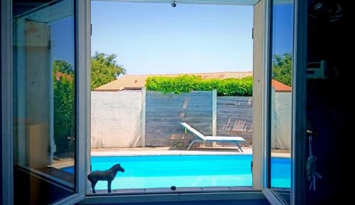 Double Room with Pool View