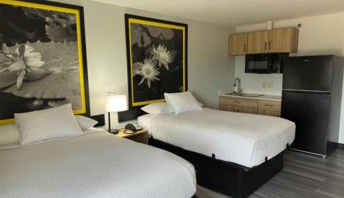 Double Room with Two Double Beds and Kitchenette