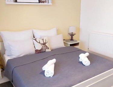 Double Room with Private Bathroom