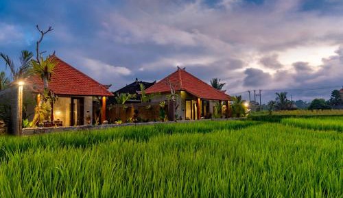 Rice Field View Private Pool Villa With Benefits