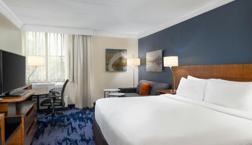 Executive King Suite with Sofa Bed