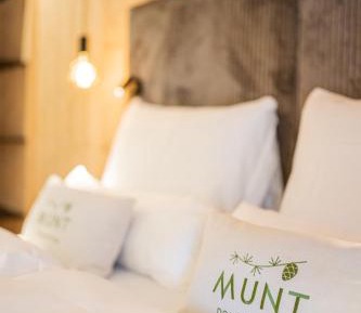 Two-Bedroom Apartment with Mountain View