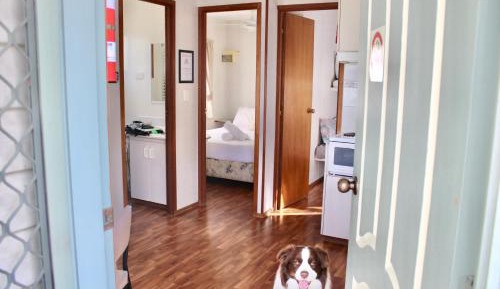Budget Double or Twin Room