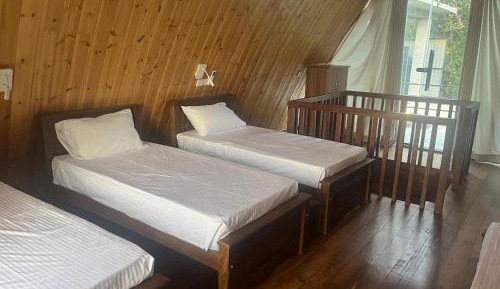 Single Bed in 10-Bed Dormitory Room