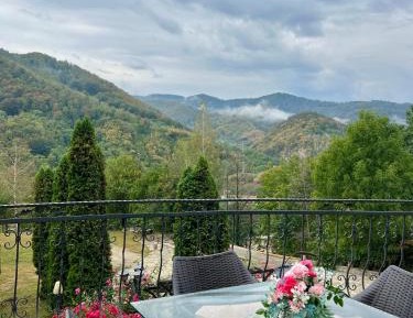 Triple Room with Mountain View