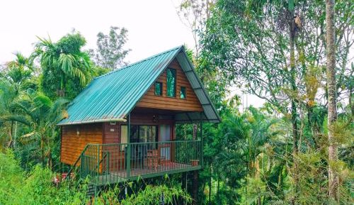 Caribbean Hut