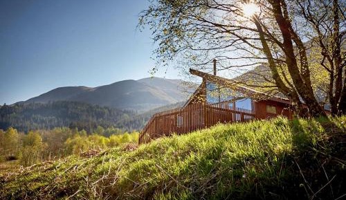 New Style Golden Oak Cabin