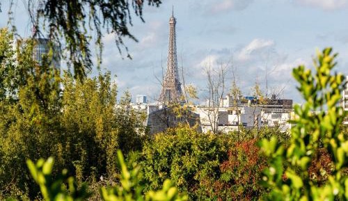 Deluxe King Room - Balcony with Eiffel Tower View 