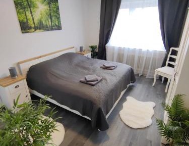 Two-Bedroom Apartment with Balcony