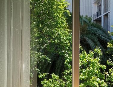 Studio with Garden View